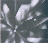 A light crystal inclusion (30 x)