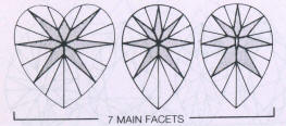 7 MAIN FACETS