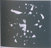 Fig 113 Cleavage crack under crown facets starting from the girdle Fig 113 Cleavage crack under crown facets starting from the girdle