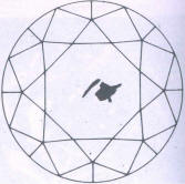 Fig 114 Crystal inclusion and crack under the table Fig 114 Crystal inclusion and crack under the table