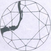 Fig 129 Large cleavage crack seen through the crown Fig 129 Large cleavage crack seen through the crown
