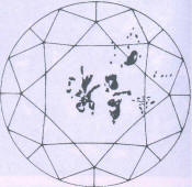 Fig 134 Larger crystal inclusions under table and crown facets Fig 134 Larger crystal inclusions under table and crown facets
