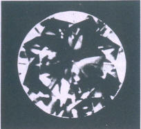Fig 172 a A crystal inclusion on a facet edge with double reflection 