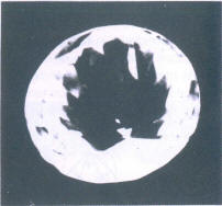 Fig 172b As Fig 172a seen through pavilion