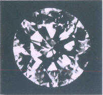 Fig 173 a A crystal inclusion with multiple reflection  