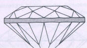 Fig 234 Thick girdle 