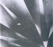  As Fig 21 (30 x)