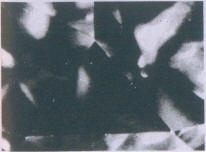 Fig 333 Damaged tacet edges 