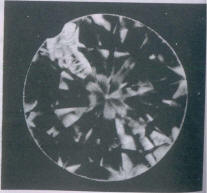 Fig 337 Fracture in the crown 