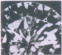 Fig 344 Fine polishing lines on pavilion facets seen through the table 
