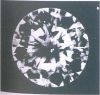 Fig 77 Several very small, light inclusions in the crown Fig 77 Several very small, light inclusions in the crown