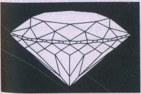Fig: 360 Princess 144